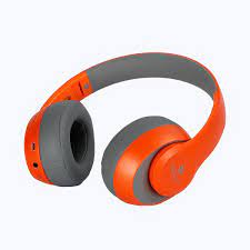 Zebronic Headphone